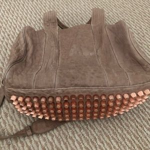 Alexander Wang Coco Rocco in Beige Soft Pink